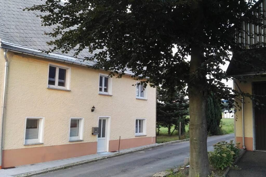 Ferienwohnung In Mittelsaida Grosshartmannsdorf Dış mekan fotoğraf
