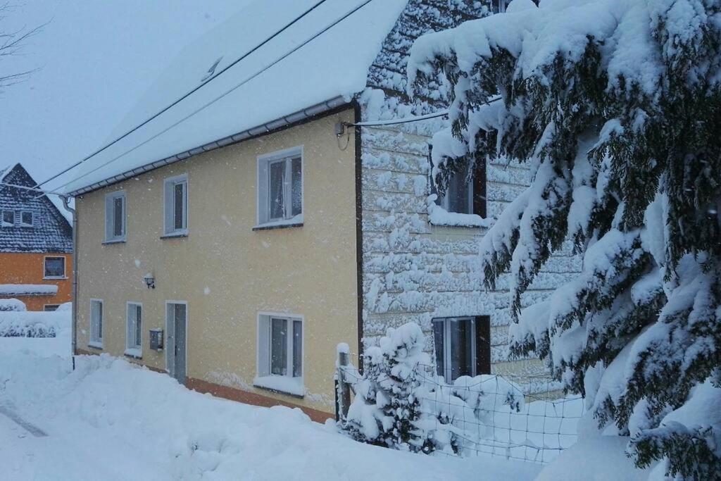 Ferienwohnung In Mittelsaida Grosshartmannsdorf Dış mekan fotoğraf